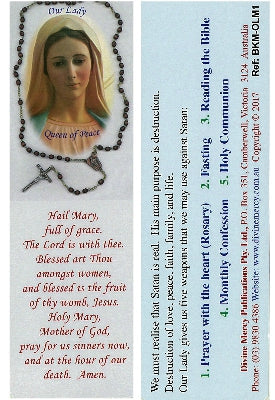 The Hail Mary - bookmark