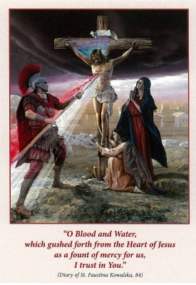 Blank Greeting Card - Divine Mercy Cross