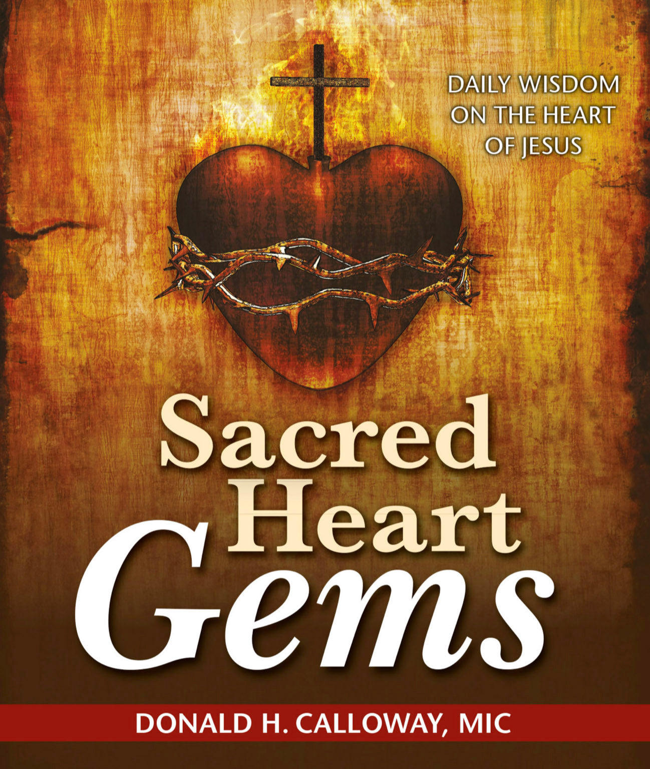Sacred Heart Gems by Fr. Donald Calloway