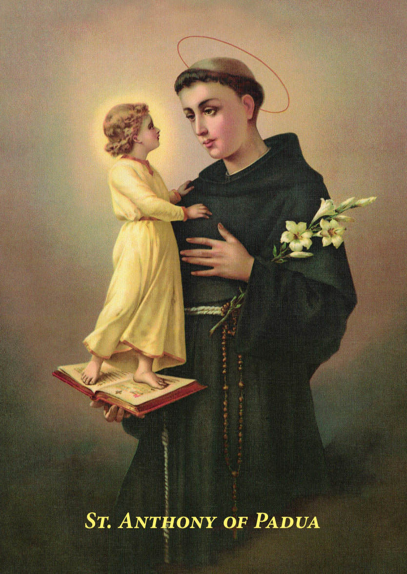 Padua Anthony padua-anthony