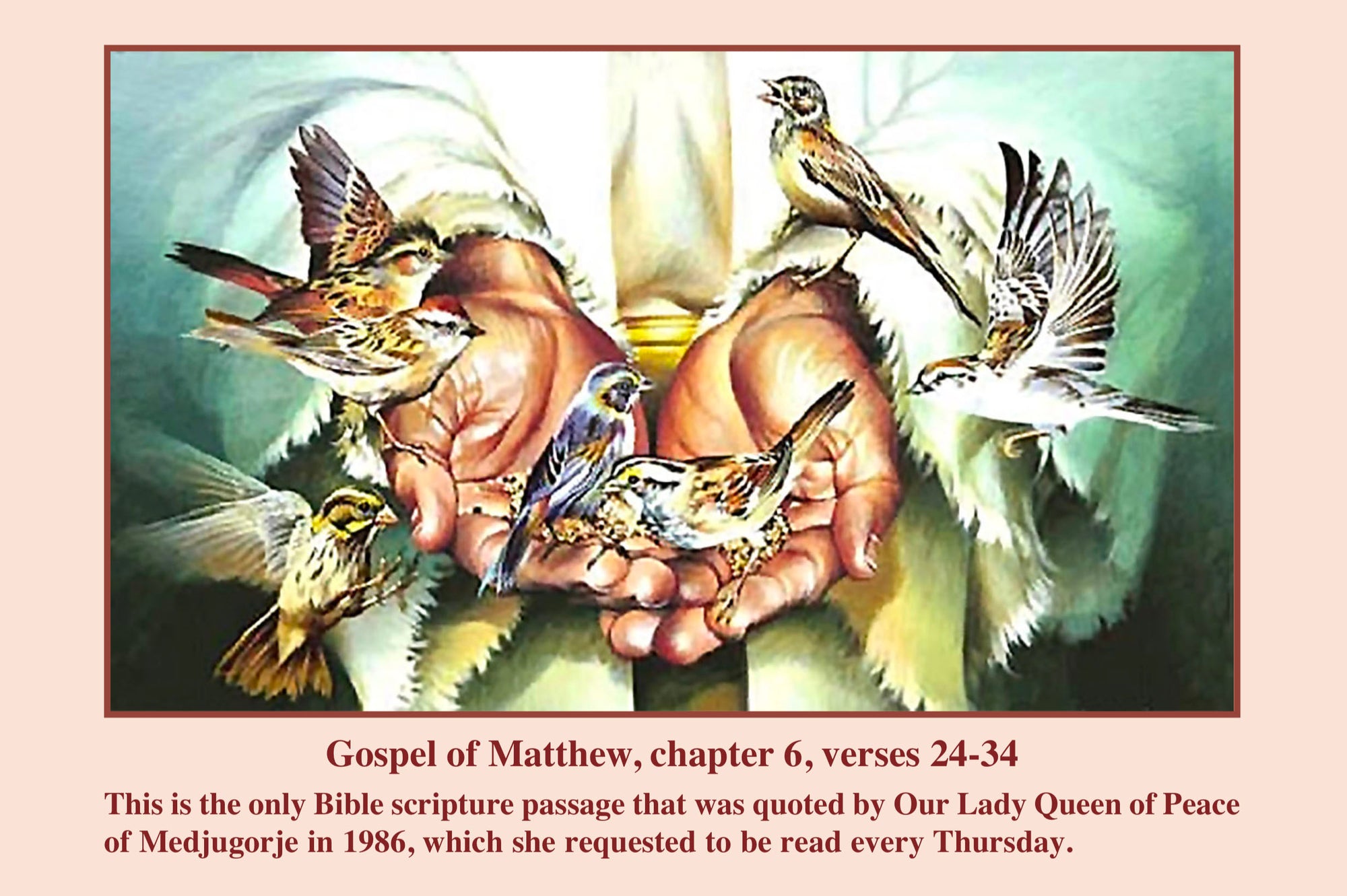 Bible Passage “Do Not Worry” - Gospel of Matthew, Chapter 6