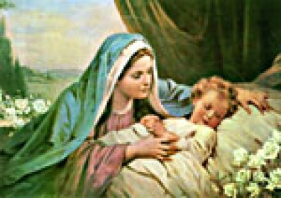 Sleeping Lord - Divine Mercy Publications Pty. Ltd.