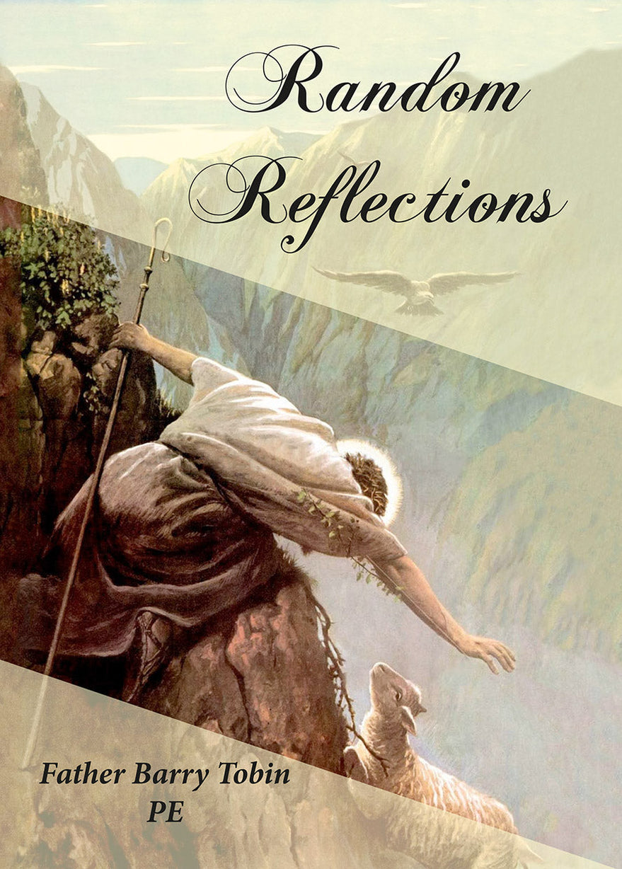 Random Reflection Book Random Reflections by Father Barry Tobin PE - Divine Mercy Publications ...